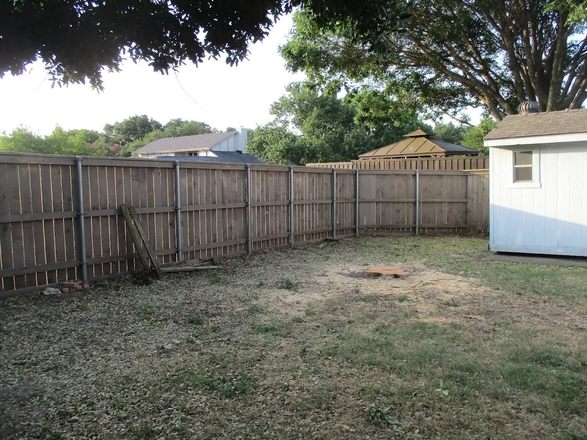 Cleared yard after professional tree removal in Crosby