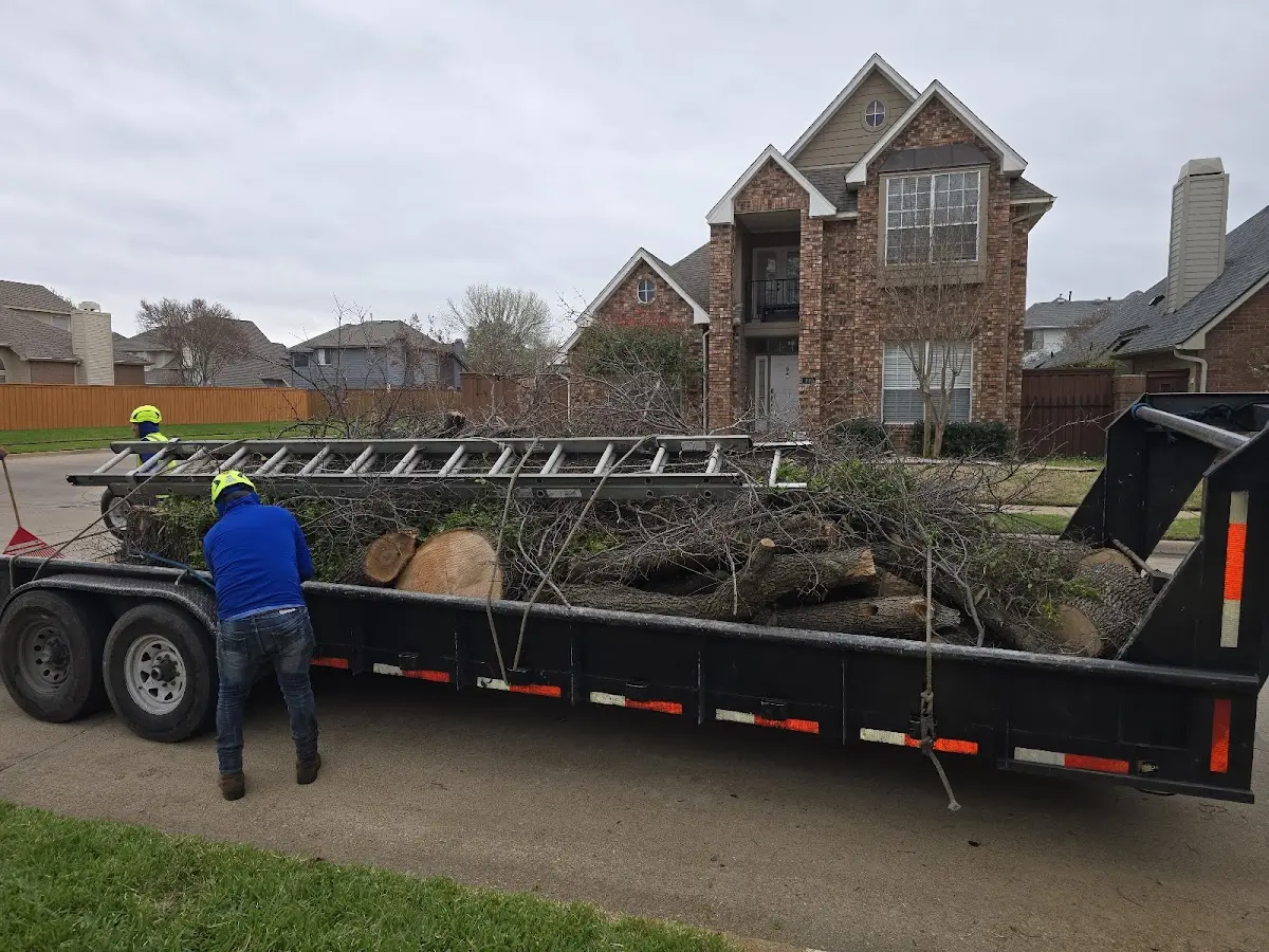 Expert Tree Fertilization with proper safety equipment in Crosby